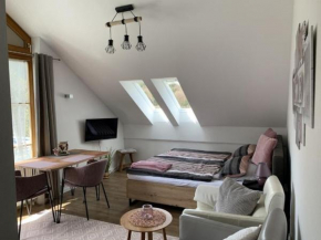 Ferienland Sonnenwald Studio 50